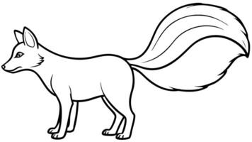 fox from behind with her tail held up 19th century illustration, illustration line art vector