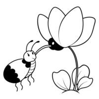 a butterfly is extracting nectar from a cyclamen flower, illustration line art vector