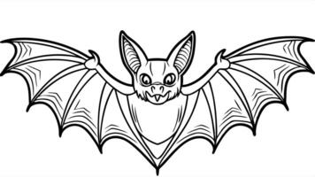 bat, illustration line art vector