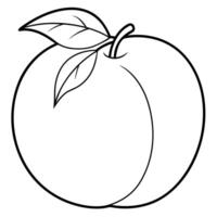 a coloring page of an food nectarine with no color just black lines, illustration line art vector