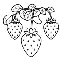 a cluster of plump strawberries hanging from a vine, with large, heart-shaped leaves and tiny seeds vector
