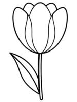 tulips are simple, cup-shaped flowers with bright, bold colors they bloom in the spring and are vector