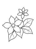 jasmine flowers are small, white, and star-shaped with a heavenly fragrance they bloom at night and vector
