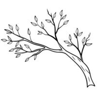 tree branch, illustration line art vector
