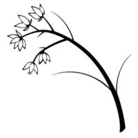 yucca flowers on a crooked branch, illustration line art vector
