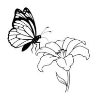 a butterfly is extracting nectar from a stock flower, illustration line art vector