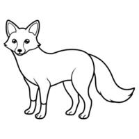 fox line art on white background, illustration line art vector