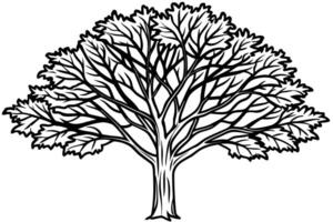 tree silhouette with white background, illustration line art vector