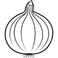 onion, illustration line art vector