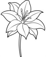 a coloring page of an amaryllis with no color just black lines, illustration line art vector