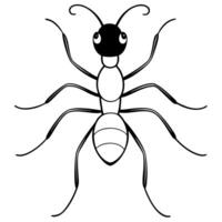 ant, illustration line art vector