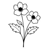 anemones flower buds with leaf, illustration line art vector