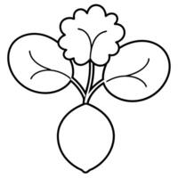 a coloring page of an food watercress with no color just black lines, illustration line art vector
