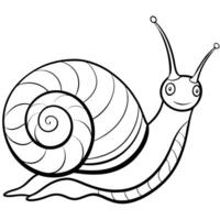 snail, illustration line art vector