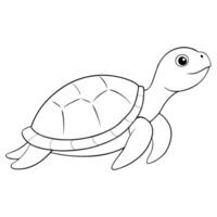 turtle, illustration line art vector