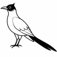 cuckoo bird silheoutees, illustration line art vector