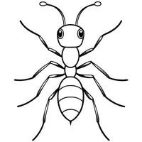 ant, illustration line art vector