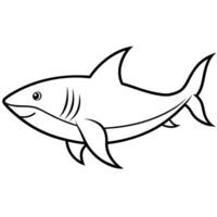 shark line art on white background, illustration line art vector