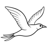a bird with a white beak is flying in the sky, illustration line art vector