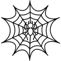 a spider cobweb, illustration line art vector