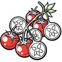 a charming illustration of cherry tomatoes on a clean white background showcase a cluster vector