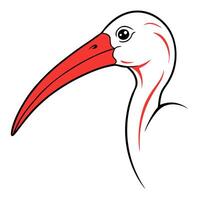a scarlet ibis head with white background, illustration line art vector