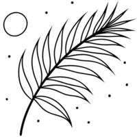 palm leave poetic gentle, illustration line art vector
