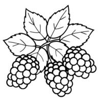 a bush full of ripe blackberries, illustration line art vector