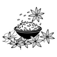 cumin, illustration line art vector
