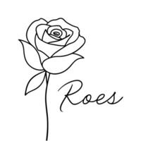 a drawing of a rose with the words quot roses quot on it, illustration line art vector