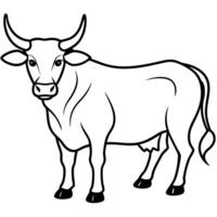 an ox, illustration line art vector