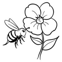 a bee is extracting honey from a impatiens flower, illustration line art vector