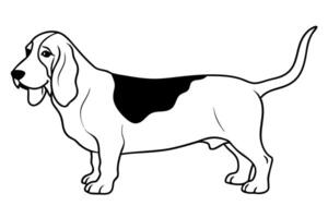basset hound line art on white background, illustration line art vector