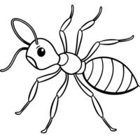 ant, illustration line art vector