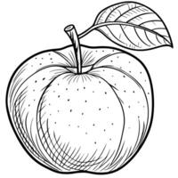 apple with a leaf doodle style coloring book hand drawn fruit coloring book, illustration vector