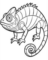 chameleon, illustration line art vector