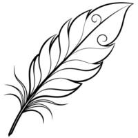 feather with intricate details and soft curves, illustration line art vector