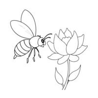 a bee is extracting honey from a anemone flower, illustration line art vector