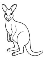 coloring book page, kangaroo, black and white, clear dark lines drawing as simple as vector