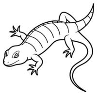 Lizard coloring pages for kids vector