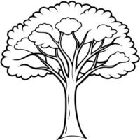 ebony tree, illustration line art vector