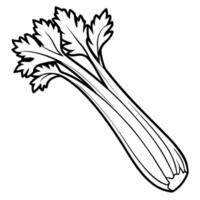 A celery root is outlined in black and white vector