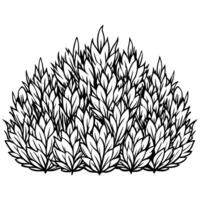 A black and white drawing of a bush with leaves vector