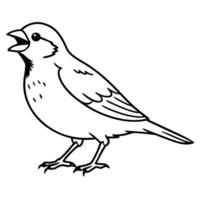 A bird is standing on its legs coloring page vector