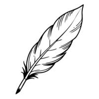 Feather feather feather feather feather feather feather feather feather feather feather feather feather feather feather feather feather feather vector