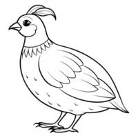 A black and white drawing of a pheasant vector