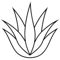 An outline of a plant with leaves vector