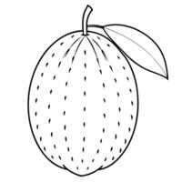 An outline drawing of a mango vector