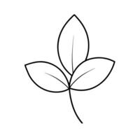A leaf outline on a white background vector
