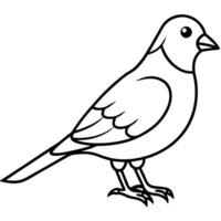 A bird is standing on its legs coloring page vector